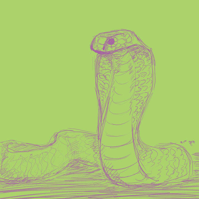draw your pet or any animal