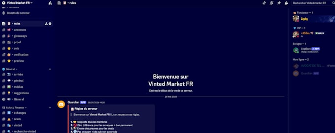 et up and design a professional discord server for you