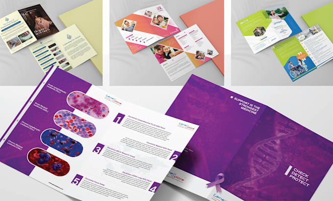 design a professional brochure, company profile, or catalog