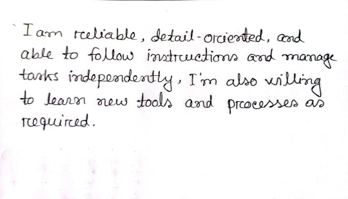 provide professional handwritten work