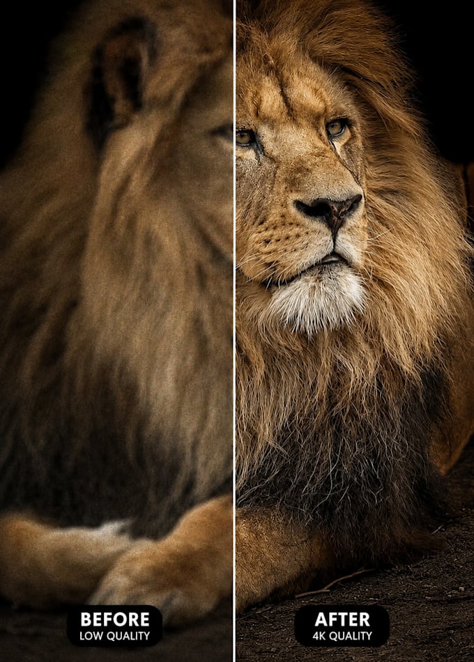provide professional ai image editing services
