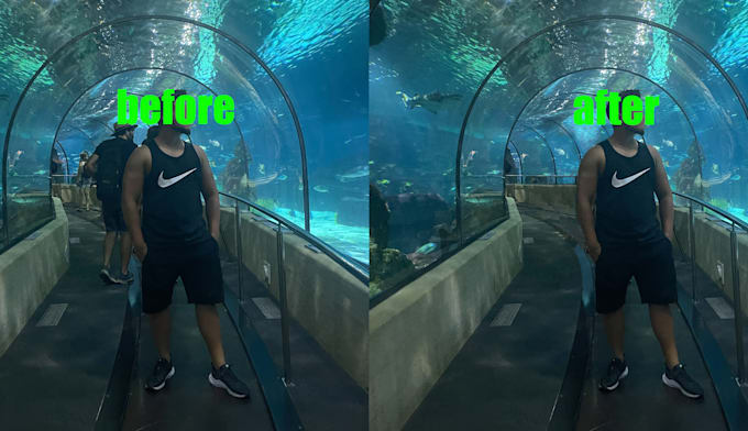 remove objects and persons from photos