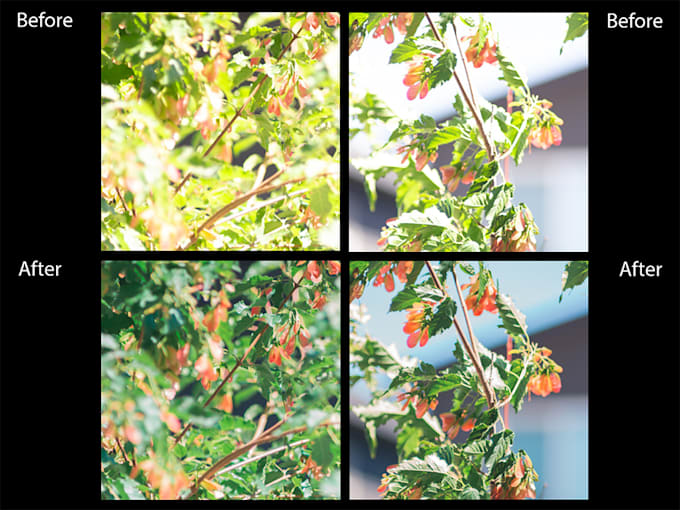 edit and color your photos