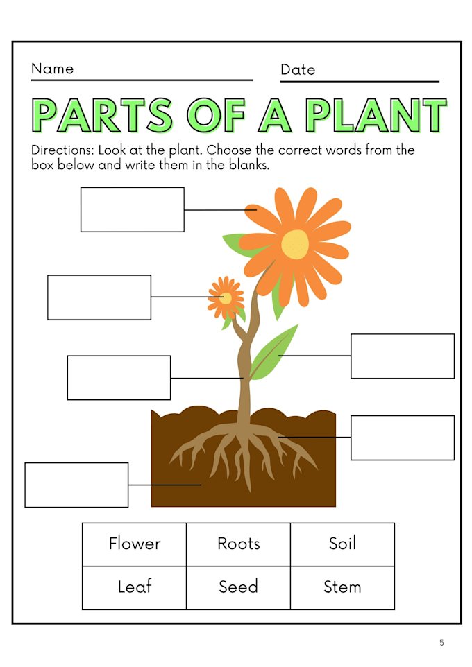 design creative montessori worksheets and lesson plans