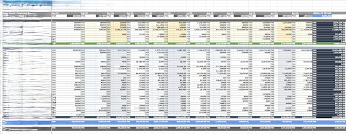 do payroll management, cash inflow and outflow