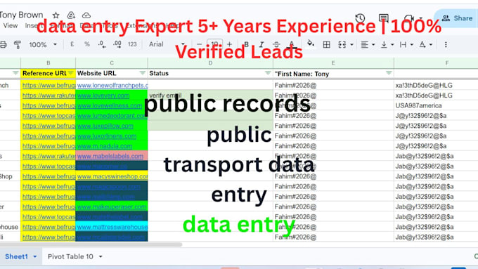 do public records and data entry expert