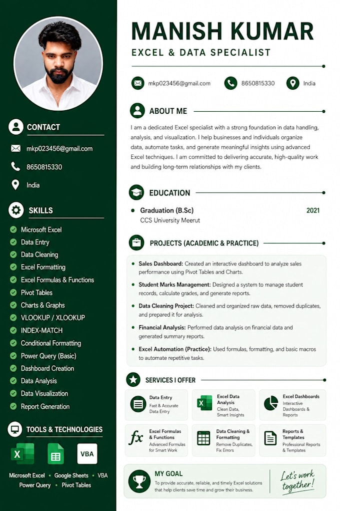 do excel data cleaning, formatting, formulas, and data entry