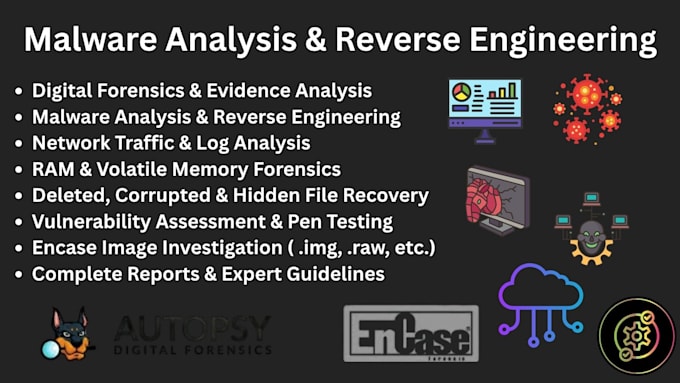 teach you malware analysis and reverse engineering, forensic