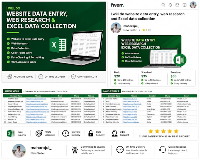 do data entry, web research, and excel data collection