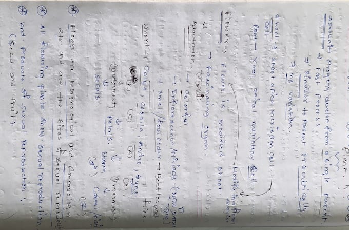 provide smooth,neat and clean handwriting