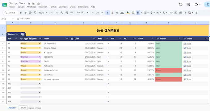 build a professional valorant team performance dashboard