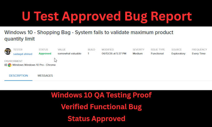 do professional website QA testing and manual software testing