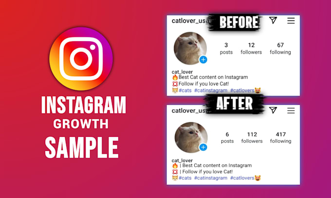 do organic instagram promotion for real growth