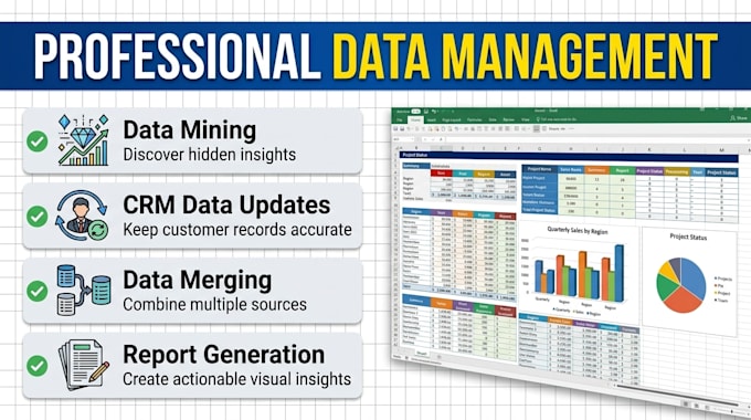be your professional data entry and excel specialist