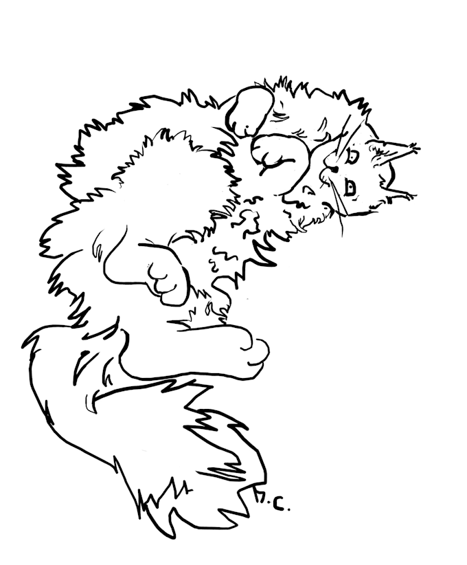 draw a funny custom cartoon pet portrait