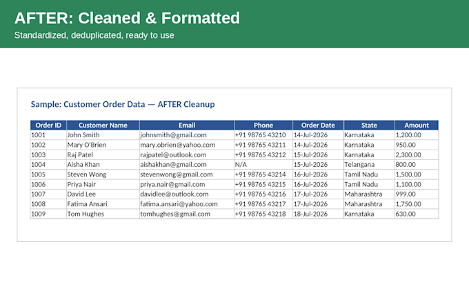 do accurate data entry and excel spreadsheet cleanup