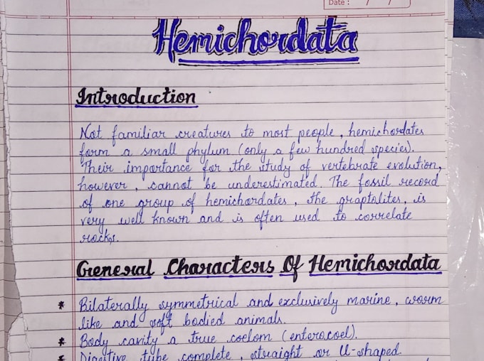 write neat and beautiful cursive handwriting documents