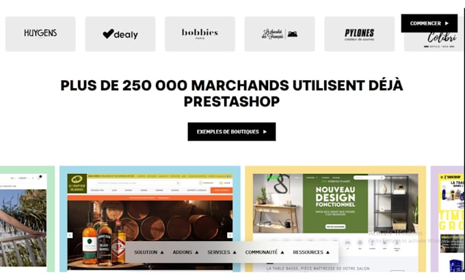 build a professional responsive prestashop website, SEO, module generic bug fix