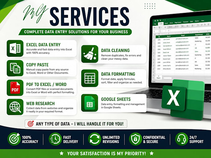 do accurate excel data entry copy paste and web research