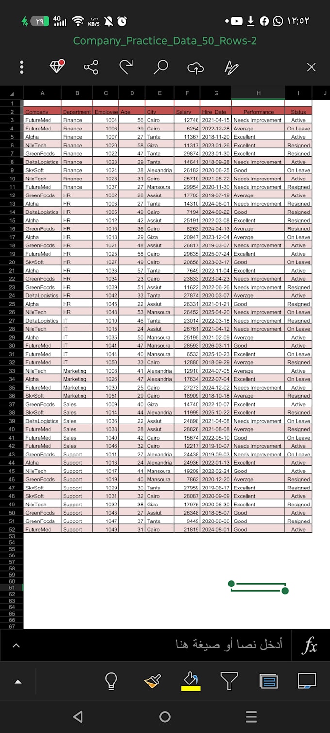 do you entry data and data cleaning on excel
