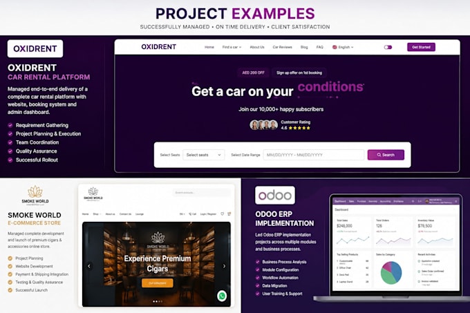 be your odoo erp functional consultant and implementation project manager