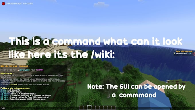 dev a minecraft plugin for you