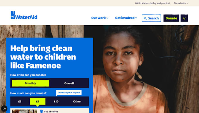 design non profit website, charity website, foundation website
