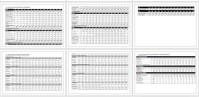 prepare bankable detailed project feasibility reports