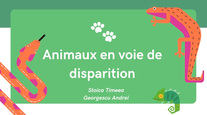design a professional powerpoint or canva presentation
