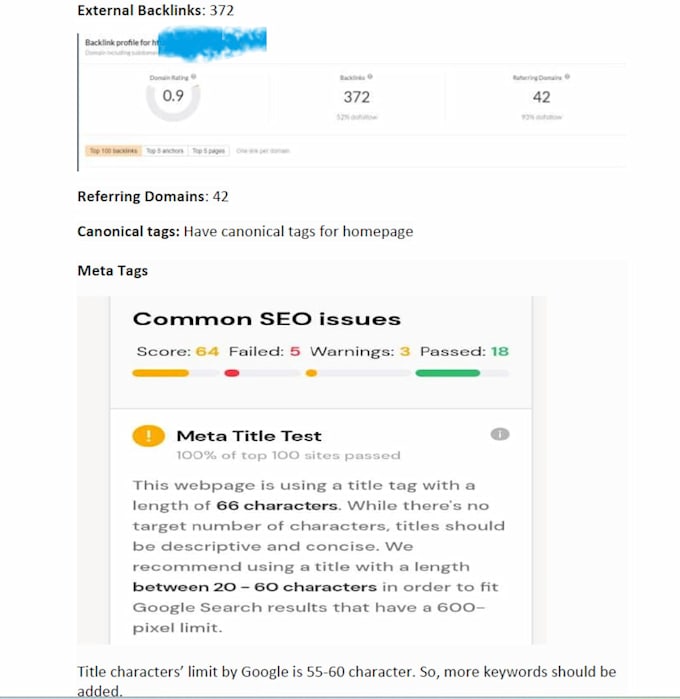 do a complete local seo audit for your business website