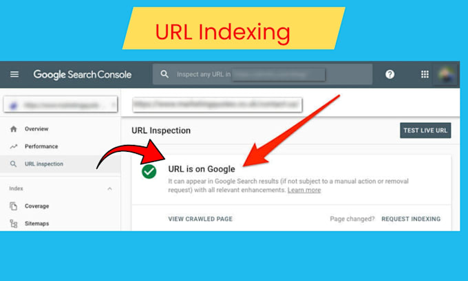 google search console setup, XML sitemap and error fixes