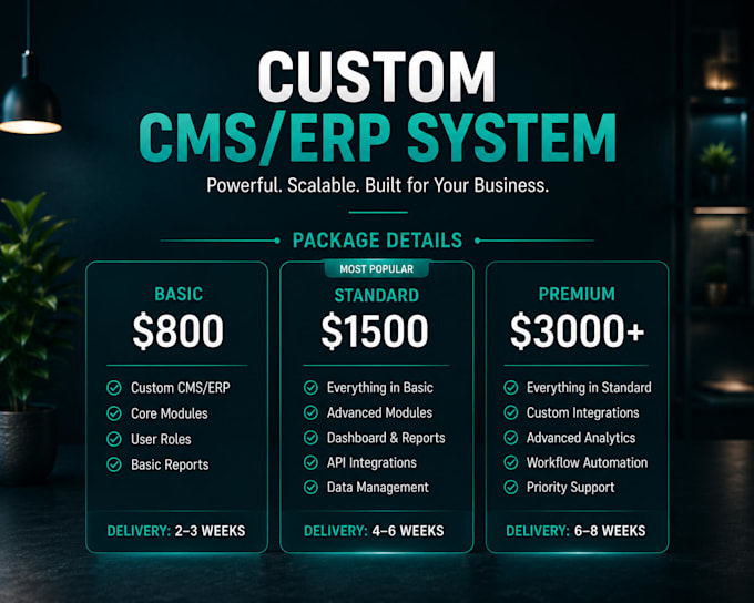 build a custom cms or erp system for your business