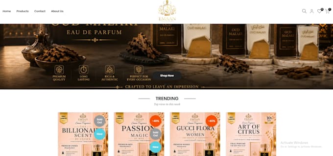 a professional shopify ecommerce website or online store