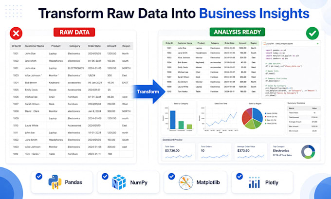 perform python data analysis, cleaning, and visualization professionally