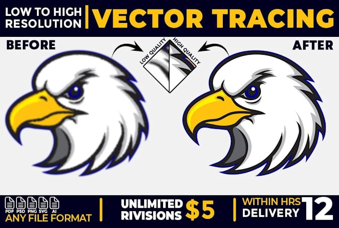 edit logo, redesign, recreate, or convert vector
