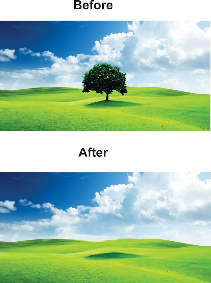 remove object, text from your photo professionally