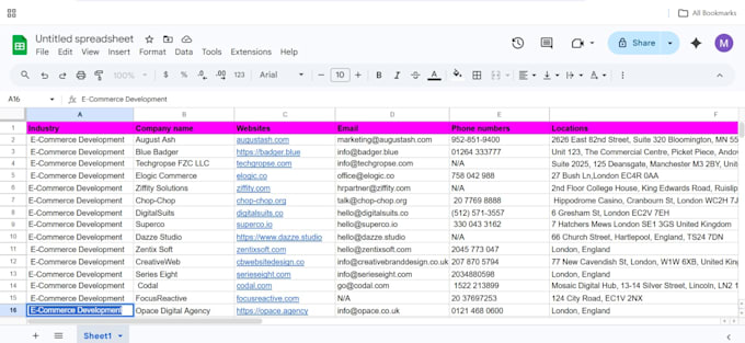 provide targeted decision maker b2b leads for lead generation