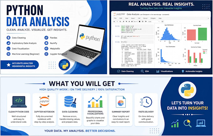 business data analytics, data cleaning, analysis and visualization