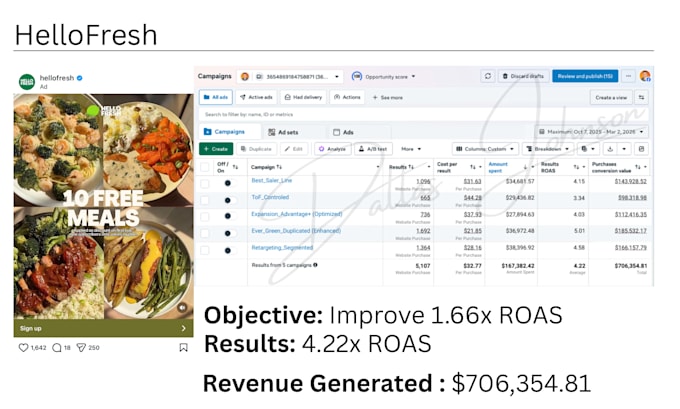 setup and manage your meta ads campaign to optimize lead generation