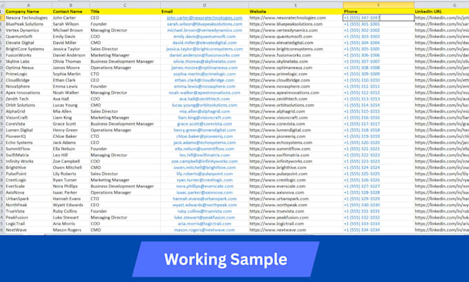 do USA b2b lead generation CEO email list and verified leads