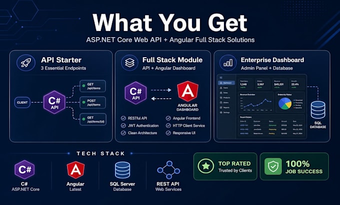 develop dotnet web api and angular full stack application with entity framework