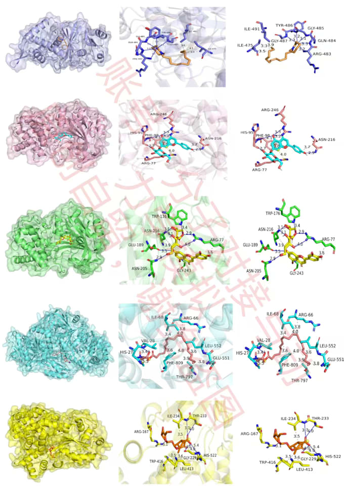 conduct molecular docking gromacs MD simulation