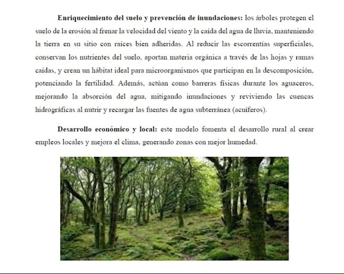 corregir y editar textos en español