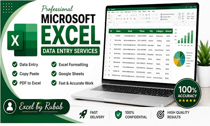 do microsoft excel data entry, copy paste and PDF to excel