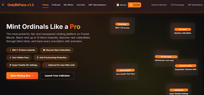create custom websites, wordpress, telegram bots and blockchain solutions