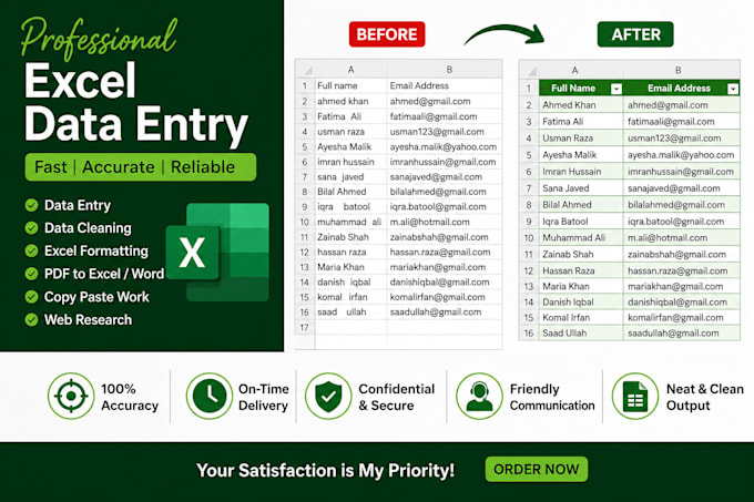 do professional excel data entry