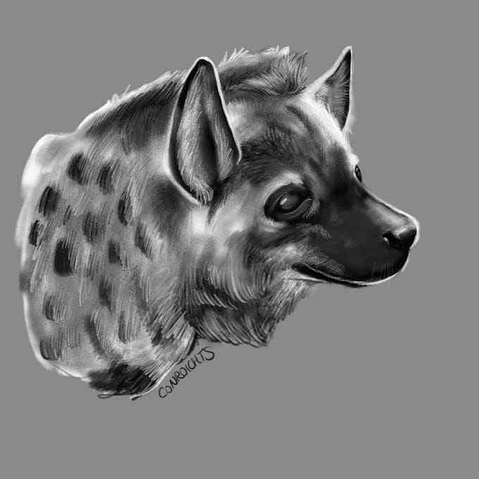 draw you a pet portrait