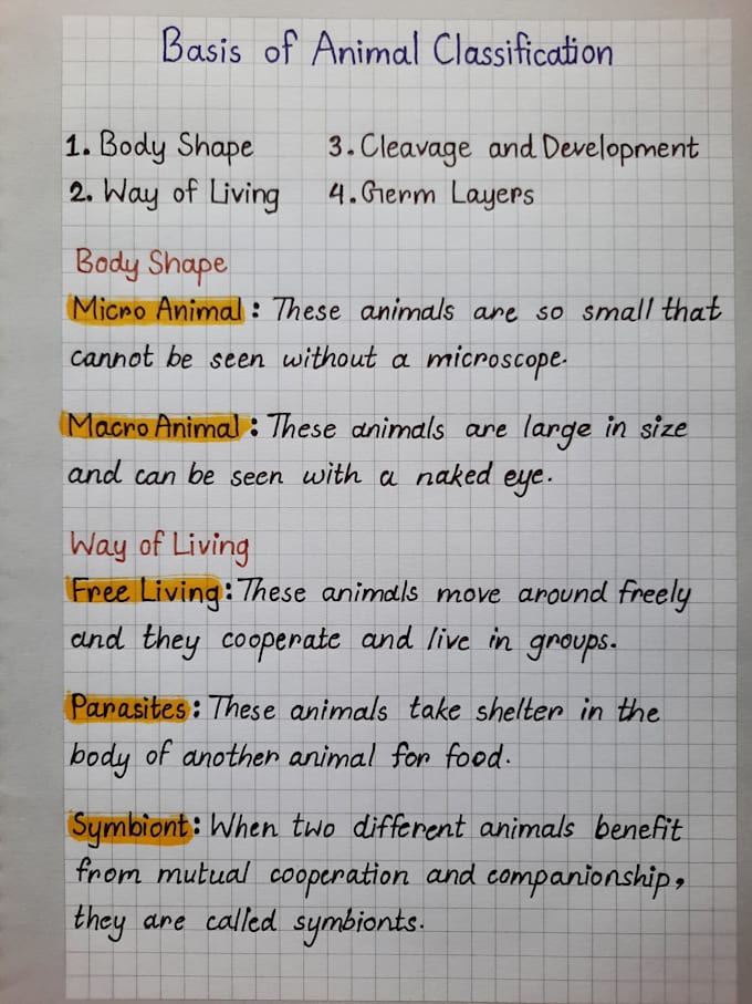 provide neat handwritten documents in print and cursive