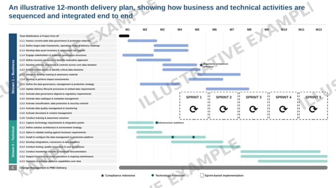 create your project plan, charter, raid log and governance pack