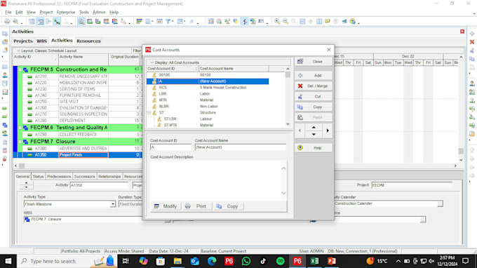 do primavera p6 project scheduling and gantt charts